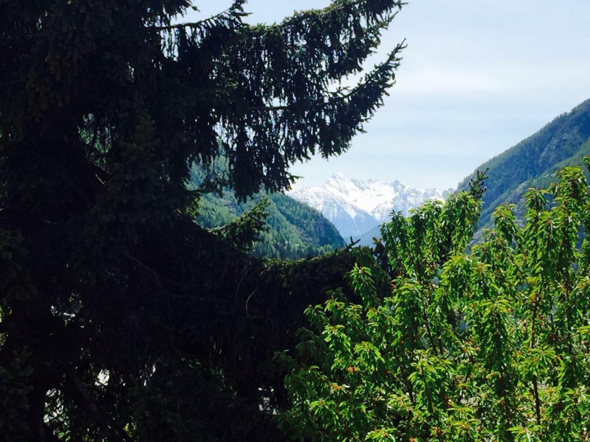 Appartamento Cretaz Valtournenche Bagian luar foto